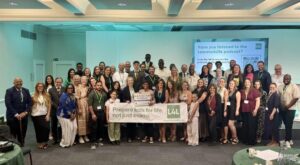 Curriculum and Assessment Review